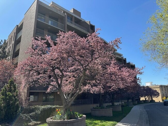property at 245 N Vine St