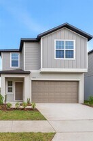 17602 Pleasantview Blvd in Land O Lakes, FL - Building Photo