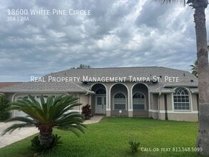 18600 White Pine Cir in Hudson, FL - Building Photo - Building Photo