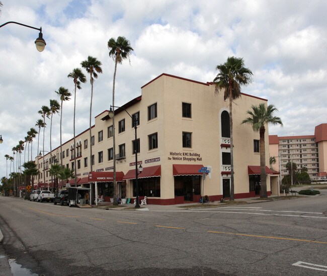 238 Tampa Ave W in Venice, FL - Building Photo - Building Photo