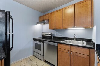30 E Huron St in Chicago, IL - Building Photo - Building Photo