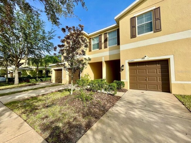 20443 Berrywood Ln in Tampa, FL - Building Photo - Building Photo