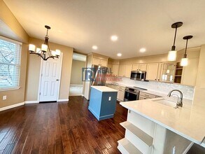 1031 Surlyn Ct in Castle Rock, CO - Building Photo - Building Photo