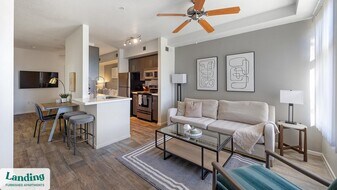 1001 E Playa Del Norte Dr in Tempe, AZ - Building Photo