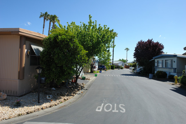 Sun Valley Village in Martinez, CA - Foto de edificio - Building Photo