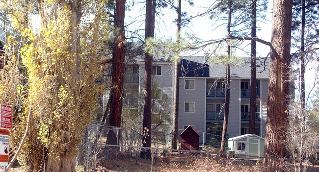 764 D Pine Knot Ave in Big Bear Lake, CA - Foto de edificio - Building Photo