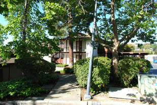 Por Of Camelback Apartment Complex in Pleasant Hill, CA - Building Photo