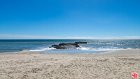 25250 Malibu Rd in Malibu, CA - Building Photo - Building Photo