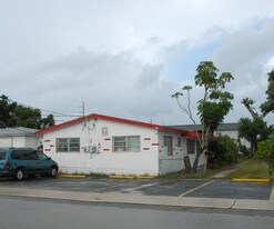 113 SW 5th St in Hallandale Beach, FL - Building Photo