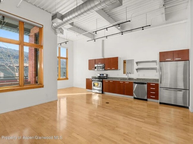 231 Robinson St in Basalt, CO - Building Photo - Building Photo