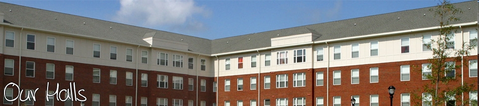 University Villas in Statesboro, GA - Building Photo