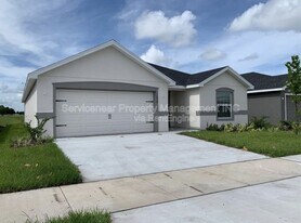 11838 Stone Pine St in Riverview, FL - Building Photo