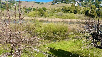 26 Marsh Rd in Tiburon, CA - Building Photo - Building Photo