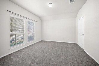 10005 Petrified Tree Ln in McKinney, TX - Building Photo - Building Photo