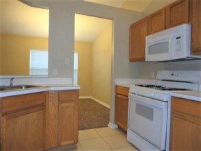 29812 Morning Mist Drive in Wesley Chapel, FL - Building Photo - Building Photo