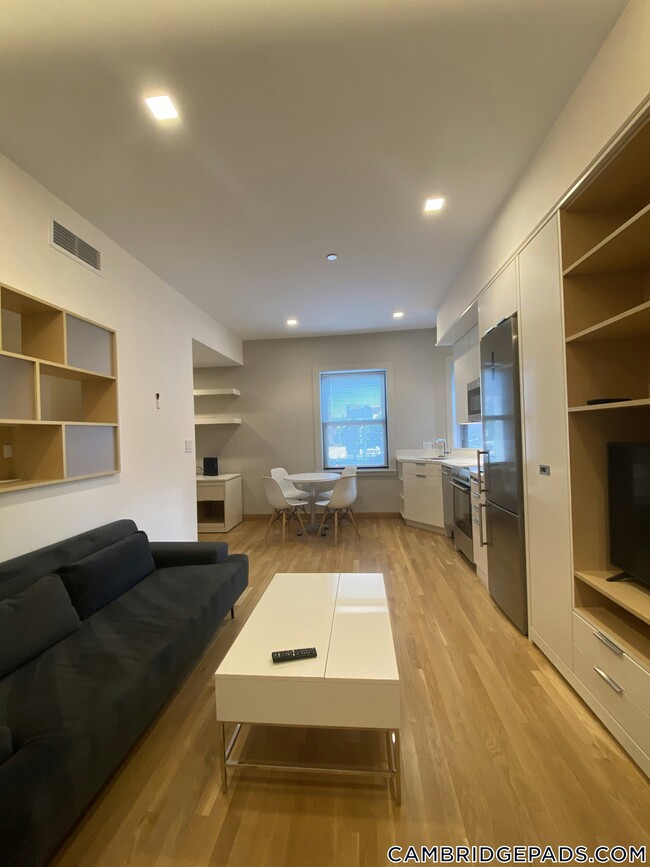 115 Mt Auburn St in Cambridge, MA - Building Photo - Building Photo