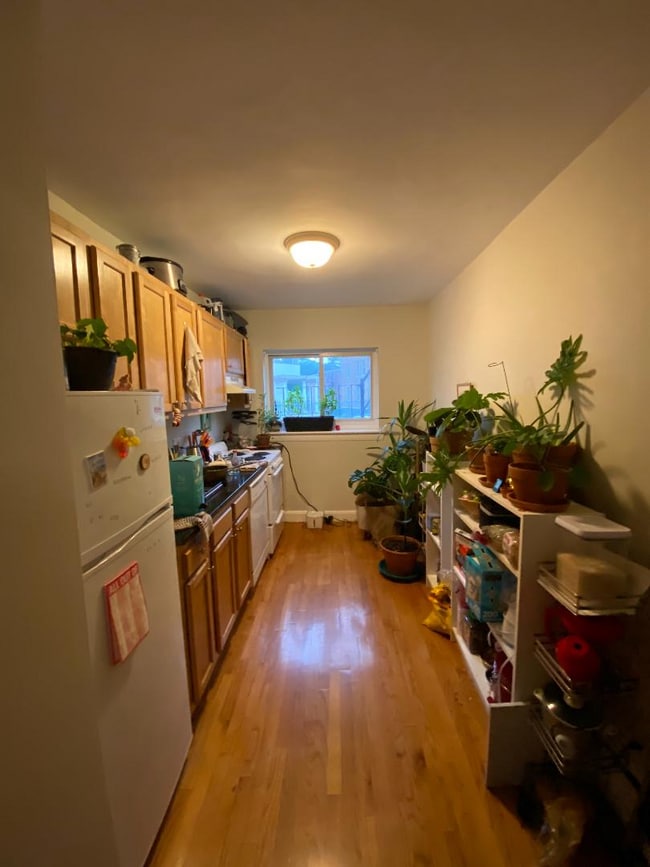 property at 61 Selkirk Rd