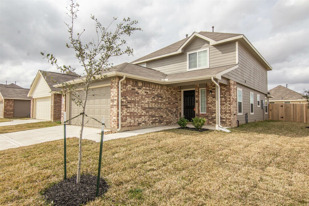24202 Treviso Gardens Dr in Katy, TX - Building Photo
