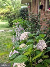 6519 Byrnes Dr in McLean, VA - Building Photo - Building Photo