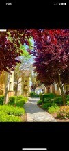 1360 Shady Ln in Turlock, CA - Building Photo - Building Photo