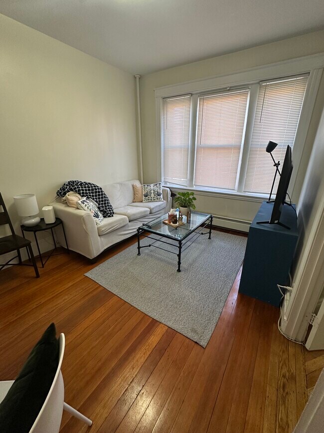 157 Winthrop Rd, Unit A1 in Brookline, MA - Building Photo - Building Photo