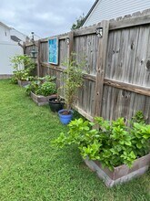 800 Chilhowee Ct in Smyrna, TN - Foto de edificio - Building Photo