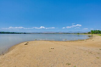 2959 Sonata Bay Ct in Longmont, CO - Building Photo - Building Photo