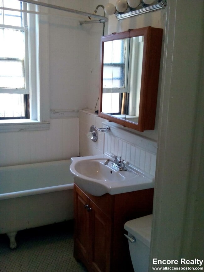 317 Allston St in Boston, MA - Foto de edificio - Building Photo