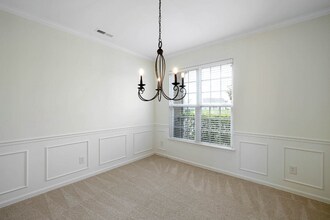 4019 Cadence Dr in Spring Hill, TN - Building Photo - Building Photo