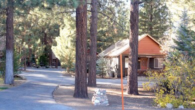 572 Jeffries Rd in Big Bear Lake, CA - Building Photo - Building Photo