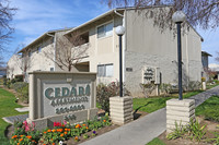 Cedar Apartments photo'