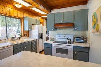 18850 Fir Dr in Buena Vista, CO - Building Photo - Building Photo