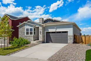 4831 Basalt Ridge Cir in Castle Rock, CO - Building Photo