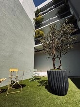 3422 NW 5th Ave in Miami, FL - Building Photo - Building Photo