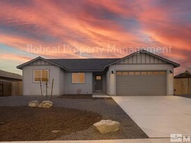 909 Saltbrush Rd in Dayton, NV - Building Photo