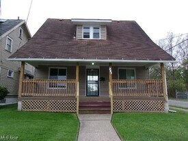 203 Marmion Ave in Youngstown, OH - Building Photo