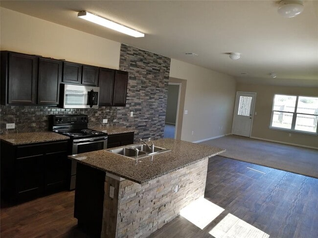 14313 Almodine Rd in Manor, TX - Building Photo - Building Photo