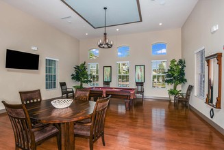 The Vineyards at Hammock Ridge in Clermont, FL - Building Photo - Building Photo