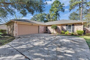 8318 Amurwood Dr in Tomball, TX - Building Photo