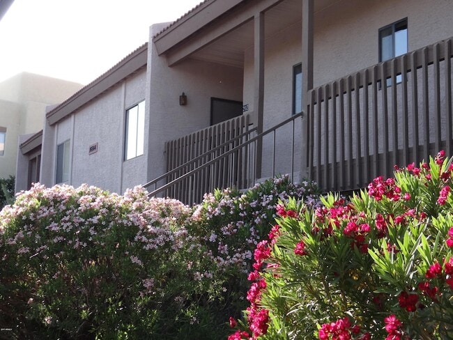 16644 E Westby Dr, Unit 203 in Fountain Hills, AZ - Building Photo - Building Photo