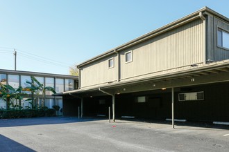 Mimosa Lane Apartments in Houston, TX - Building Photo - Building Photo