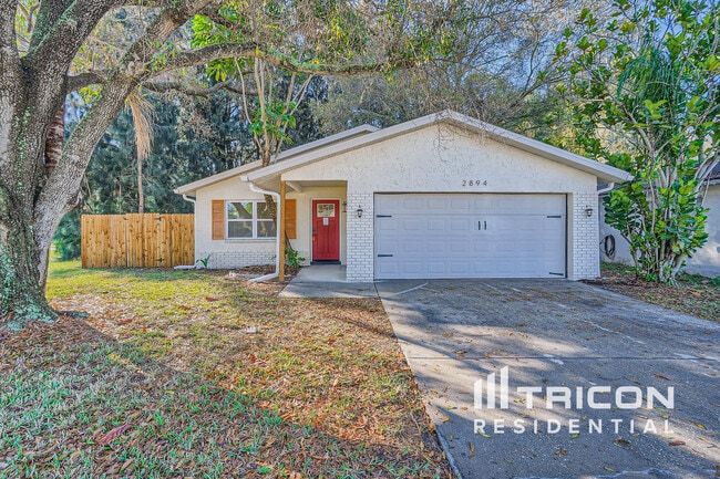 2894 Cathy Ln in Clearwater, FL - Building Photo - Building Photo