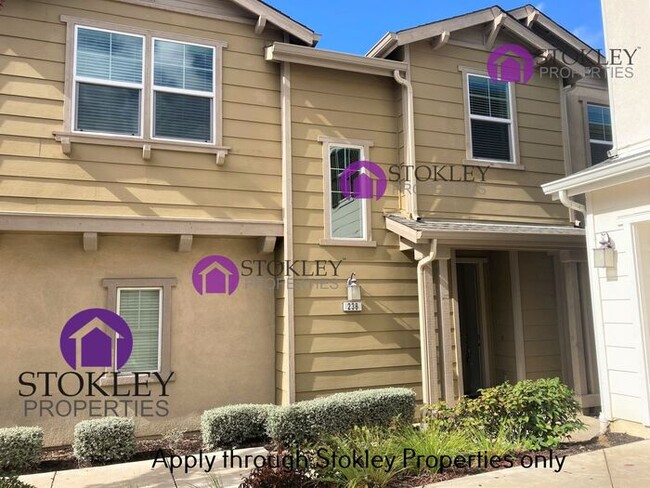 238 Ladybug Ln in Martinez, CA - Building Photo - Building Photo