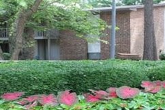 Raintree II in Columbia, SC - Foto de edificio - Building Photo