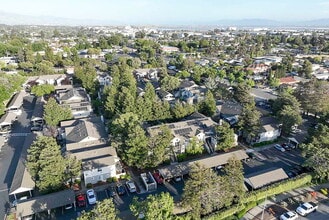 Bridgeport in Newark, CA - Foto de edificio - Building Photo