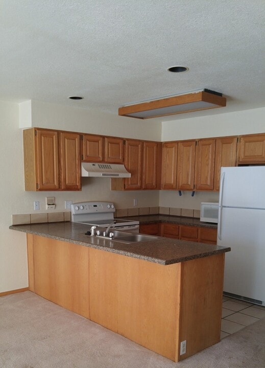 749 Lagoon Dr in Frisco, CO - Building Photo