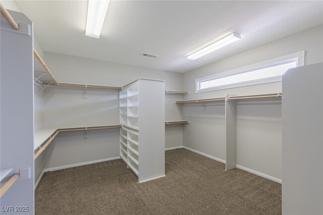 property at 2461 Ping Dr