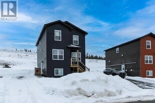 73 Tigress St in St John's, NL - Building Photo
