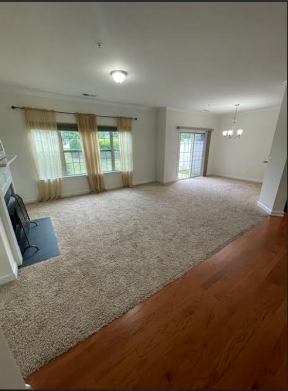 16718 Dolcetto Way in Charlotte, NC - Building Photo - Building Photo