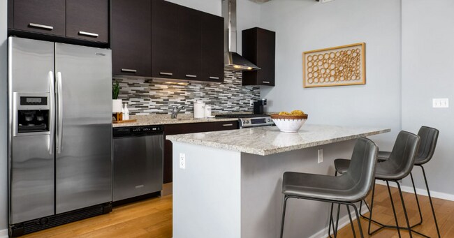 1135 S Delano Ct in Chicago, IL - Building Photo - Building Photo